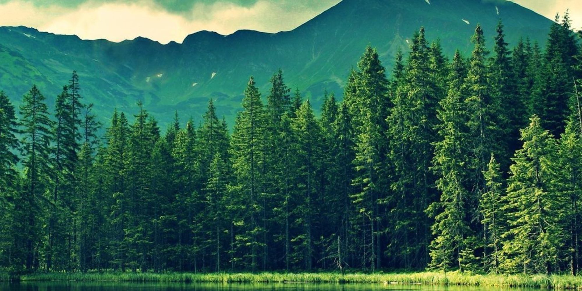 Welcome to the Heart of the World